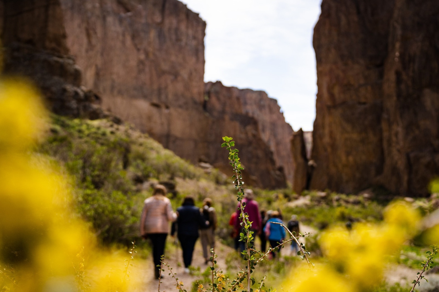 turismo patagonia