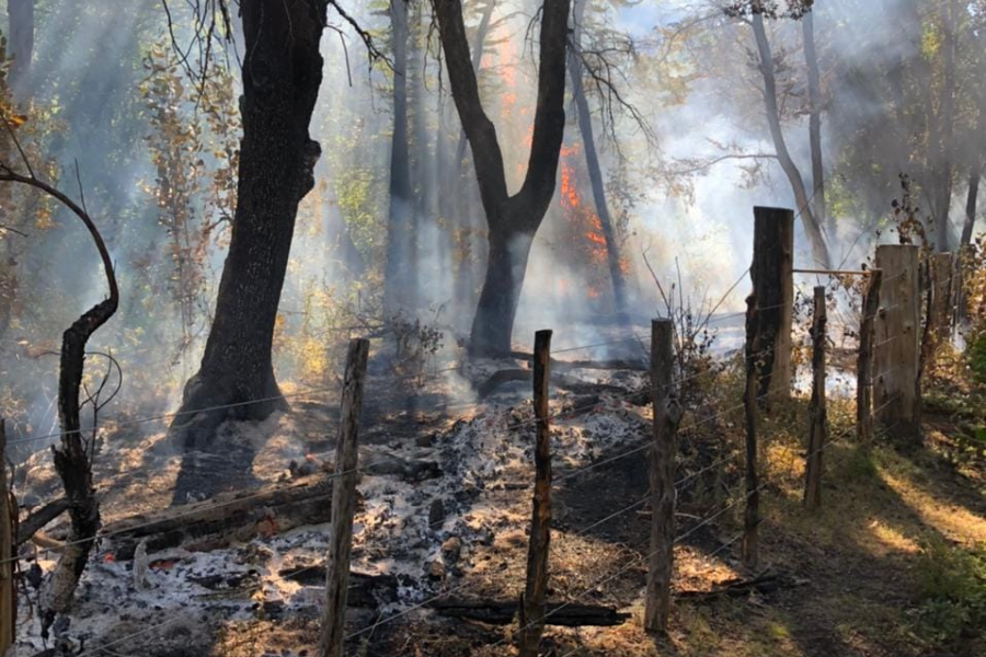 incendio los alerces