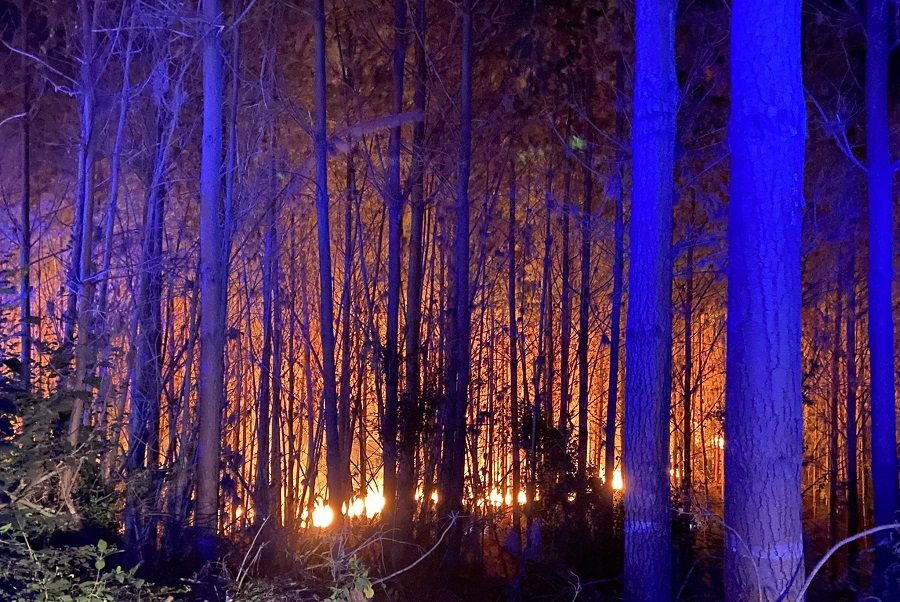 incendios forestales chile