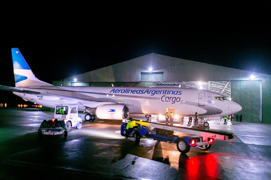 aerolineas carga rio grande