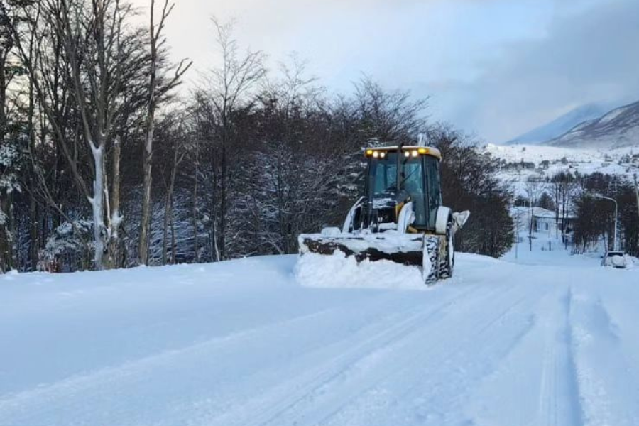 temporal de nieve