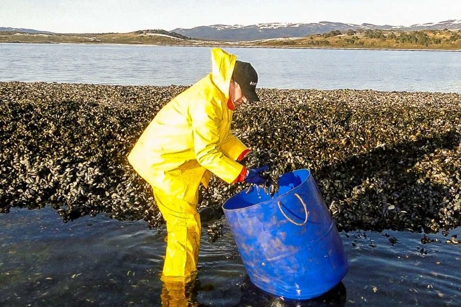 pesca canal beagle