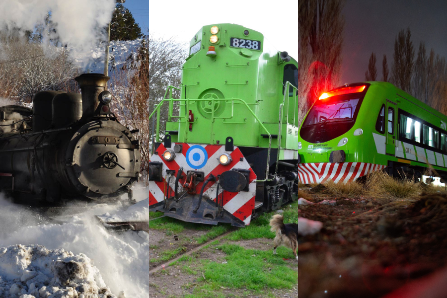 tren patagonico marca país