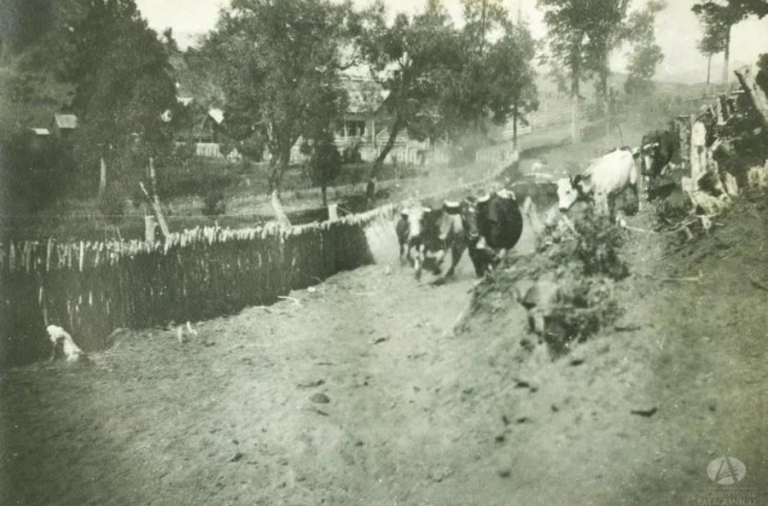 noticiaspuertosantacruz.com.ar - Imagen extraida de: https://elrompehielos.com.ar/ganaderia-en-el-norte-de-patagonia-cuando-se-separaron-los-caminos-de-argentina-y-chile