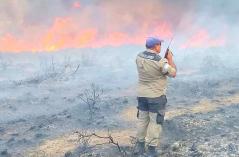 noticiaspuertosantacruz.com.ar - Imagen extraida de: https://elrompehielos.com.ar/bomberos-voluntarios-lograron-controlar-un-incendio-de-pastizales-en-la-zona-norte-de-puerto-madryn