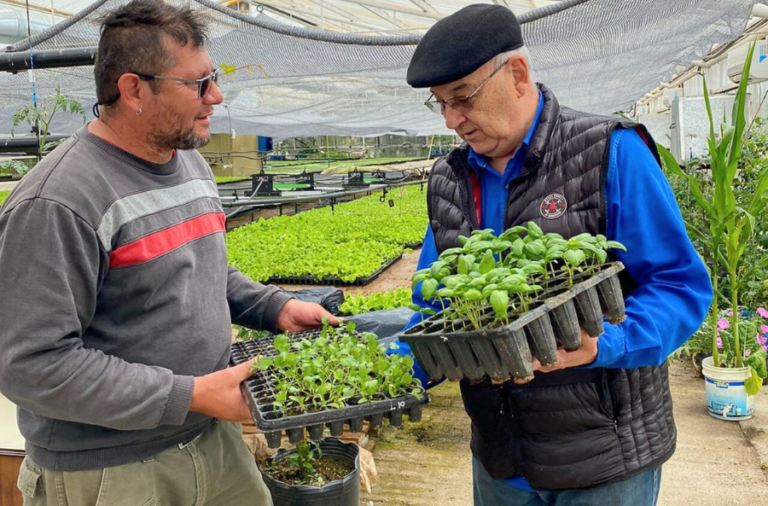 noticiaspuertosantacruz.com.ar - Imagen extraida de: https://elrompehielos.com.ar/rga-agroproductiva-preven-la-entrega-de-unos-1-800-000-plantines-a-230-productores