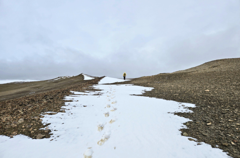 noticiaspuertosantacruz.com.ar - Imagen extraida de: https://elrompehielos.com.ar/realizan-el-relevamiento-geologico-de-la-isla-cerro-nevado-en-la-antartida-argentina