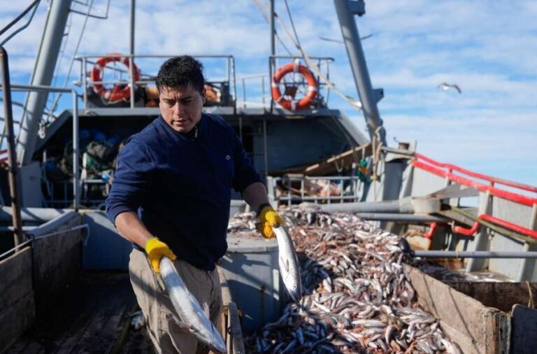 noticiaspuertosantacruz.com.ar - Imagen extraida de: https://elrompehielos.com.ar/politica-entre-redes-y-olor-a-pescado