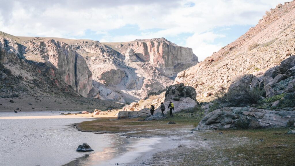 Es un lugar de agua, es un lugar verde, entonces la fauna es medio que los únicos lugares donde tiene para proveerse de alimento, disponibilidad de presas y de agua