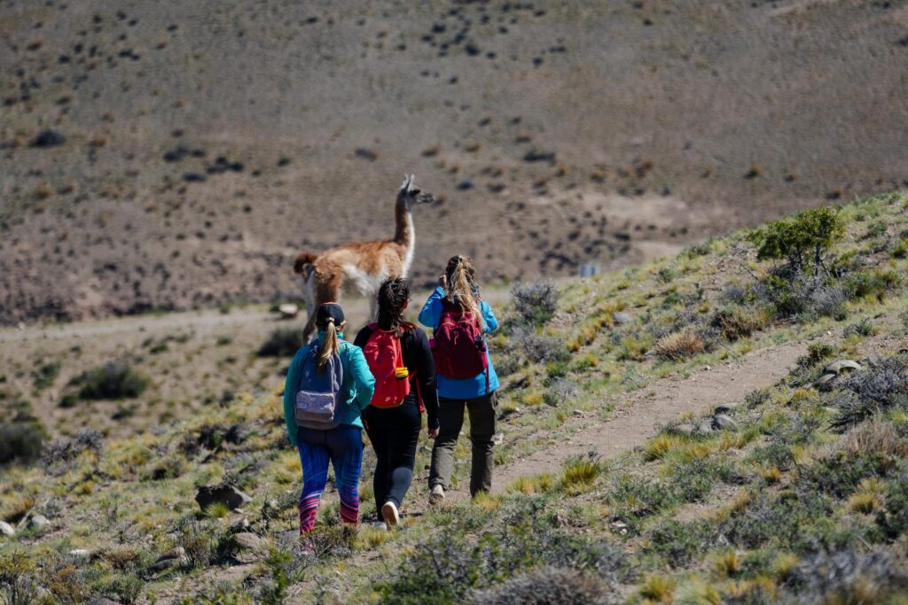 Es un lugar de agua, es un lugar verde, entonces la fauna es medio que los únicos lugares donde tiene para proveerse de alimento, disponibilidad de presas y de agua