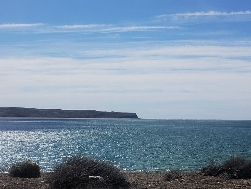 Durante las siete horas de recorrido, los participantes realizaron avistamiento de fauna, destacándose la presencia de la ballena franca austral, una de las especies emblemáticas protegidas de la provincia.