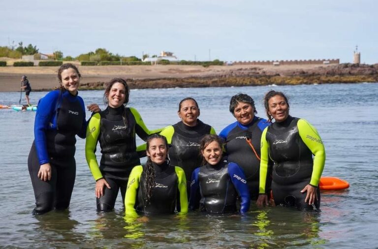 noticiaspuertosantacruz.com.ar - Imagen extraida de: https://elrompehielos.com.ar/camarones-celebro-a-las-ballenas-con-un-festival-que-unio-naturaleza-musica-y-conservacion