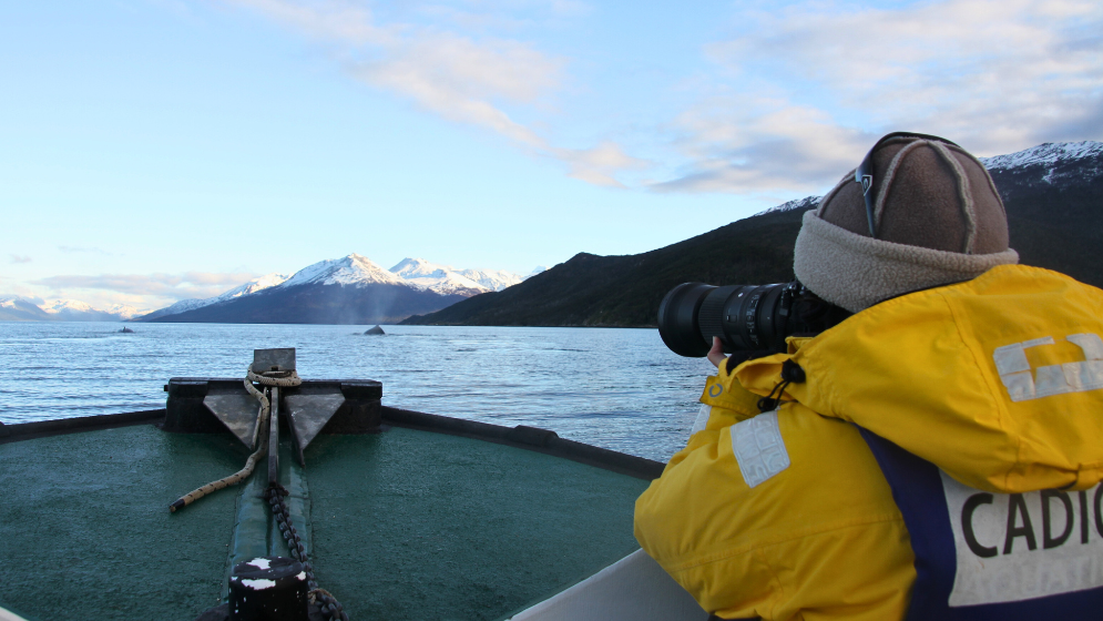 Trabajo de fotoidentificacion de ballenas jorobadas que ingresan al canal Beagle. Imágenes: gentileza responsables del proyecto.
