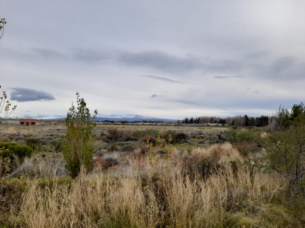 jornada de forestación en Los Antiguos
