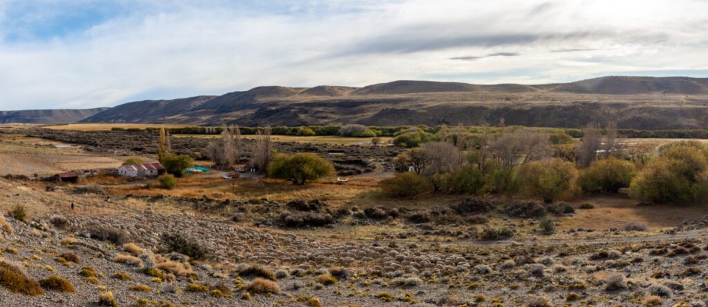 trashumancia en Patagonia