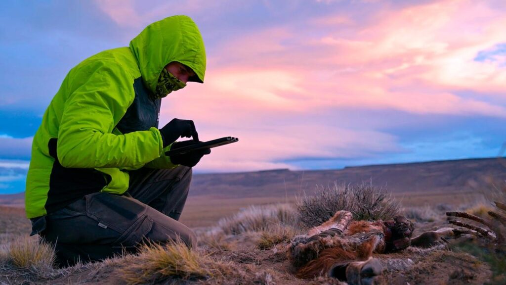 biodiversidad en Patagonia