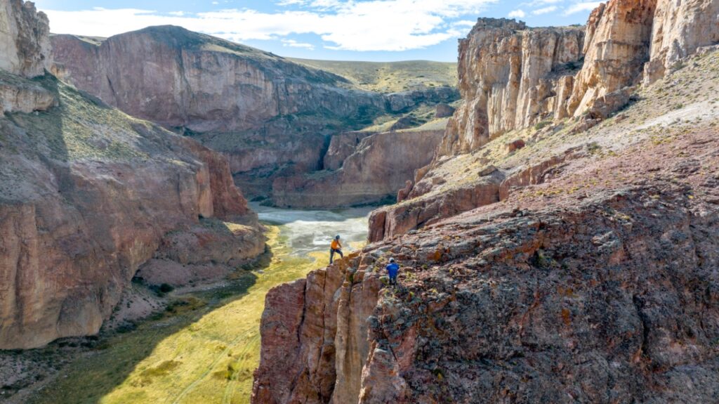 biodiversidad de la Patagonia en fotos
