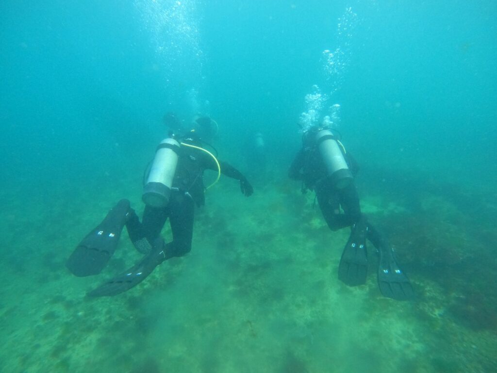 conservación del lecho marino
