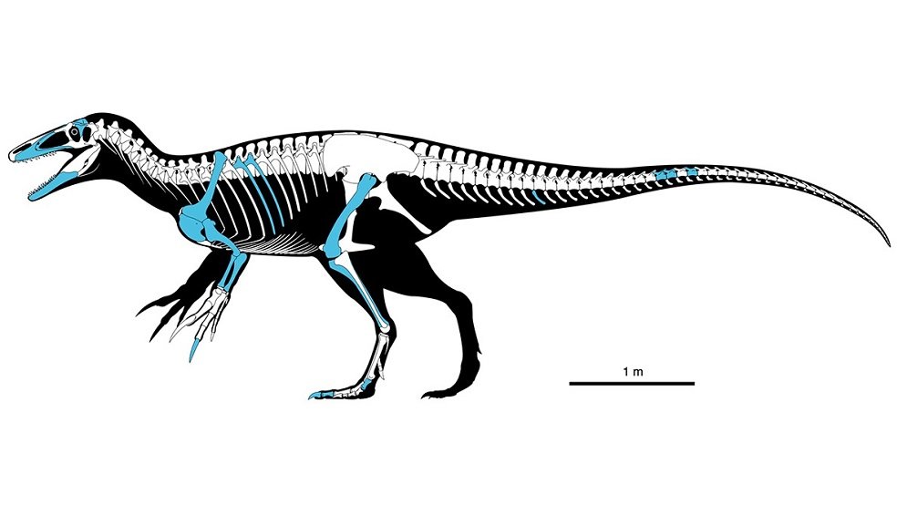 dinosaurio carnívoro en Chubut