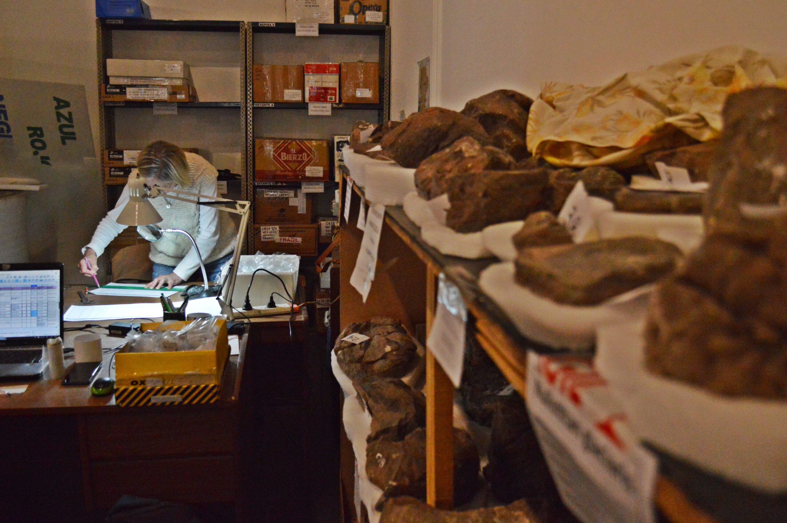 arqueología en Santa Cruz