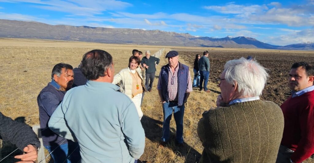 producción de granos en El Calafate