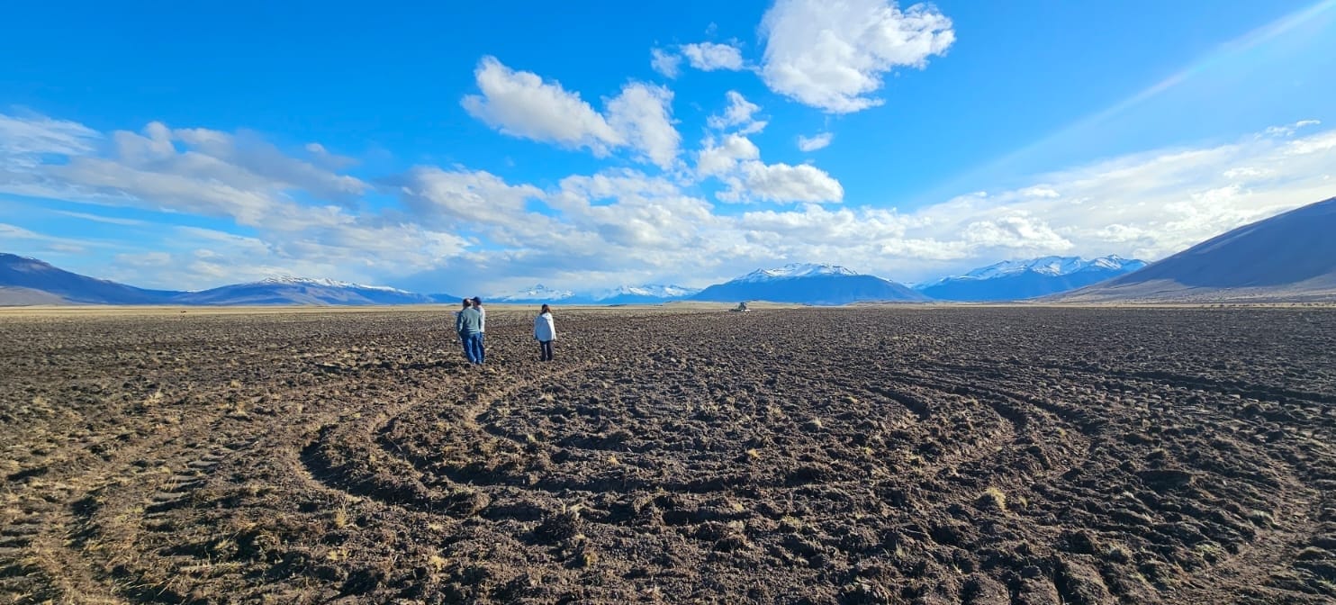 producción de granos en El Calafate