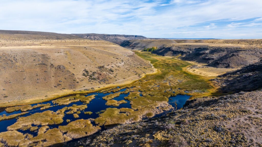 coipos en el Cañadón Caracoles