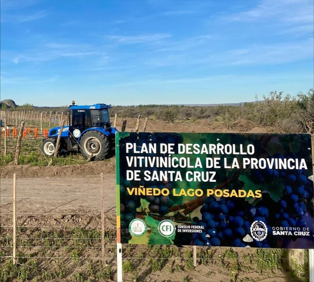 viñedo más austral
