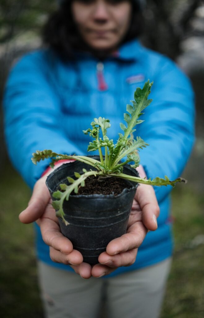 Fundación Anfibia cambio climático