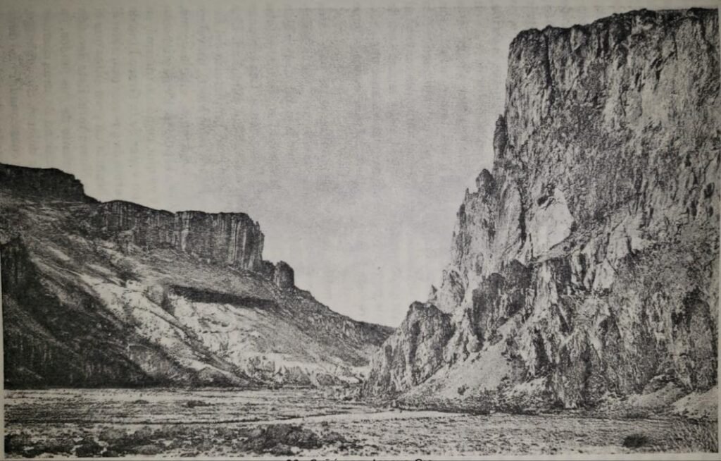 historia del huemul