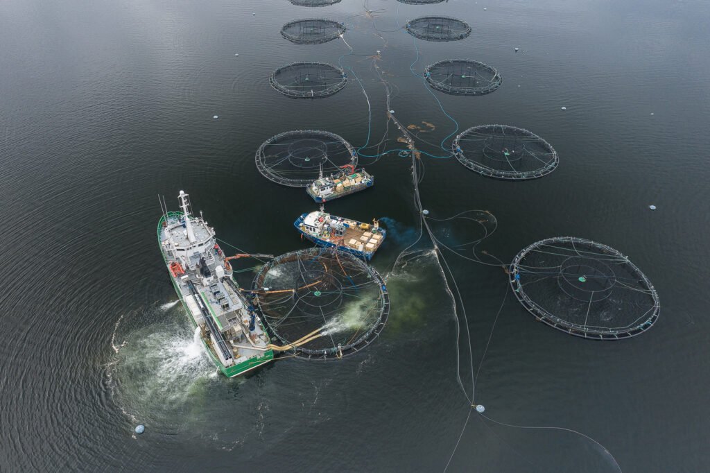 rechazo a las salmoneras