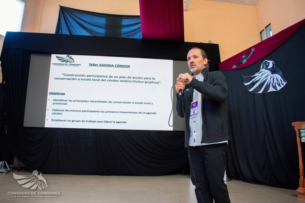 cóndor andino Santa Cruz