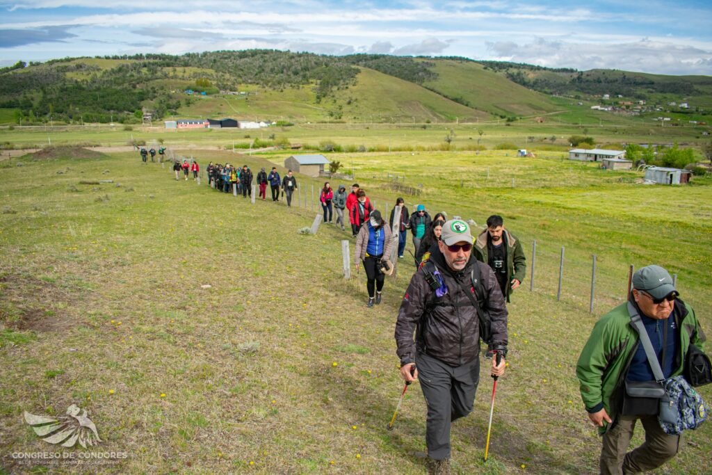 cóndor andino Santa Cruz