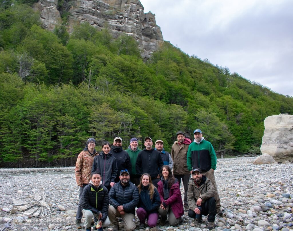 cóndor andino Santa Cruz