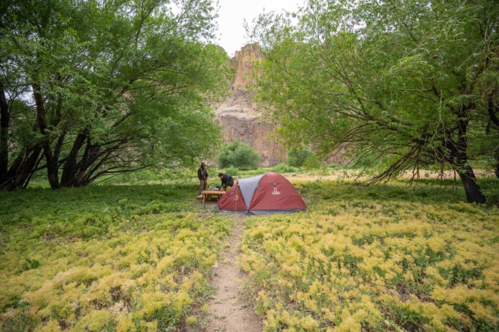 acampar en el Parque Patagonia