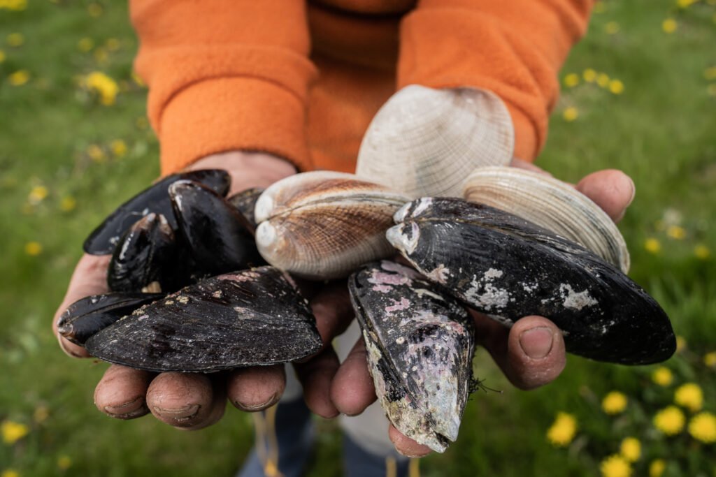 rechazo a las salmoneras