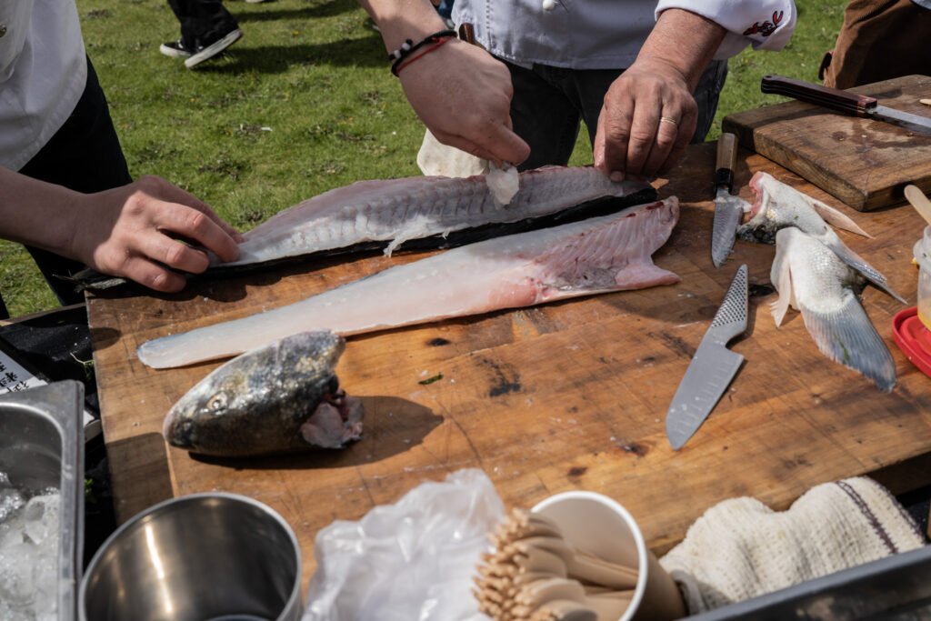rechazo a las salmoneras