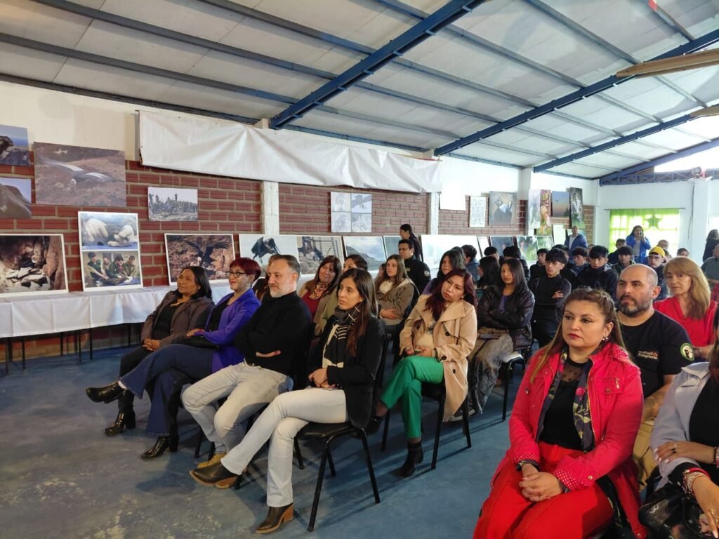 conservación del cóndor andino