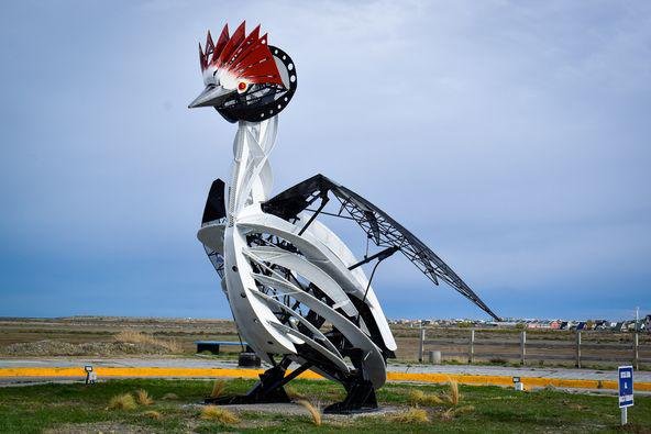 20 años del estuario