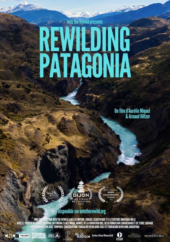 Rewilding Patagonia documental
