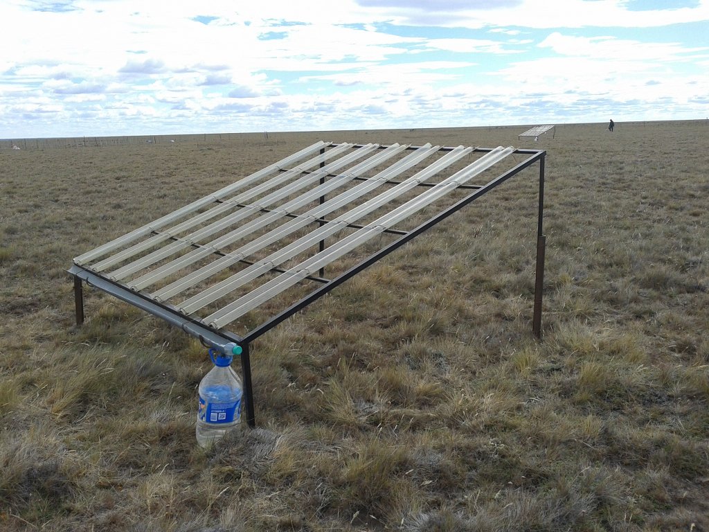 sequía en la estepa patagónica