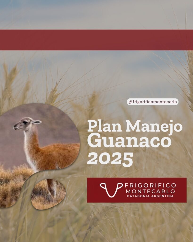manejo del guanaco Santa Cruz