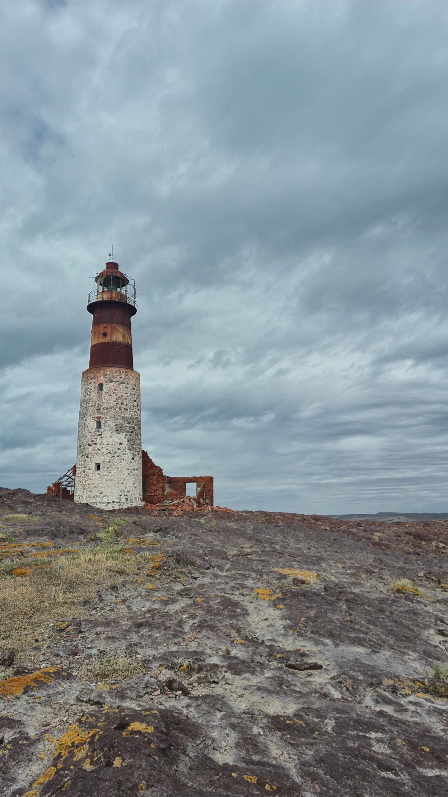 Isla Pingüino penacho amarillo