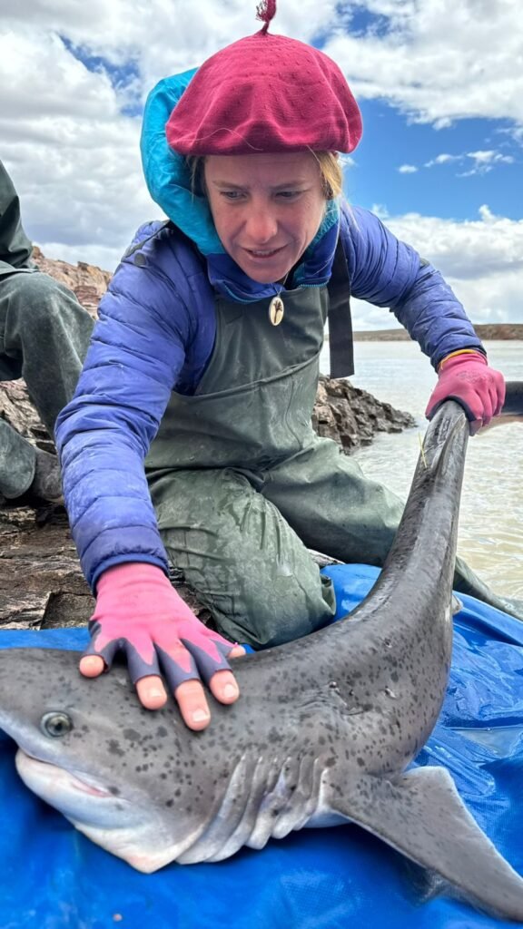 producción de algas Santa Cruz