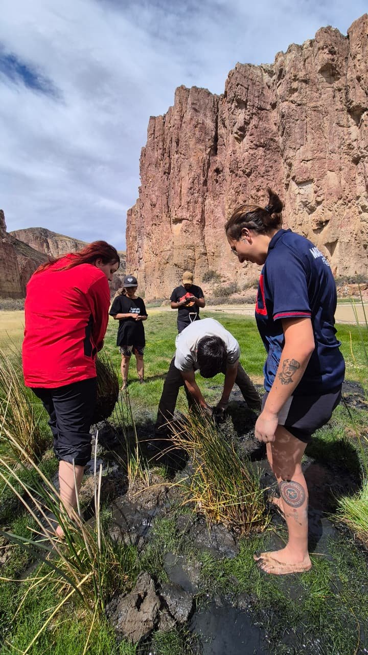 humedales en el Cañadón Caracoles