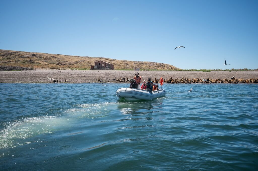 rewilding en Camarones