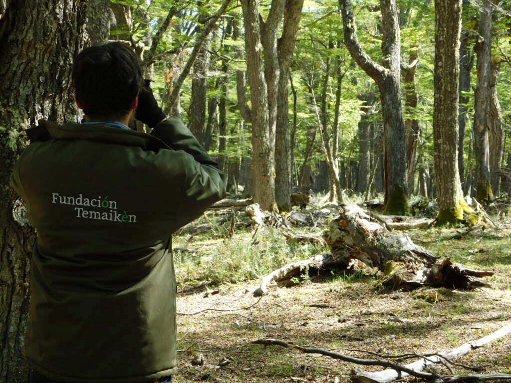 conservación del huemul
