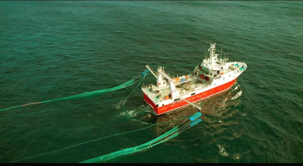 observadores santacruceños langostino