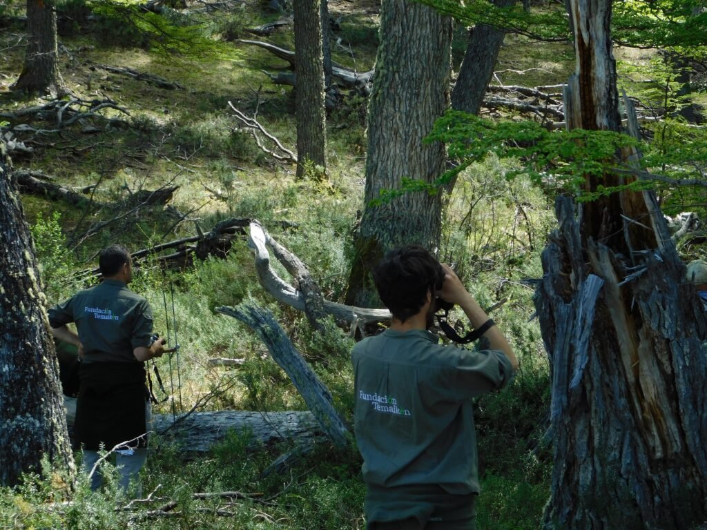 conservación del huemul