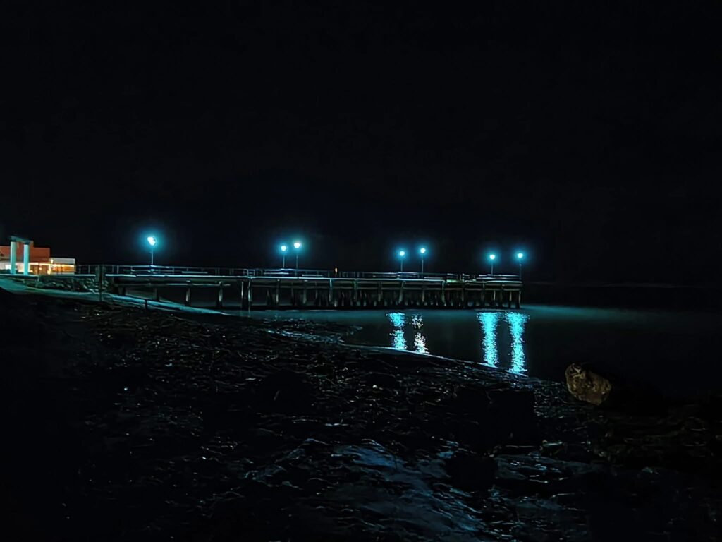 Muelle Ramón de Puerto Deseado iluminado de azul para promover la protección de los océanos